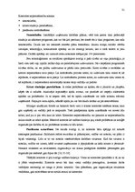 Diplomdarbs 'Mazo un vidējo uzņēmumu attīstības veicināšana Latvijā', 31.