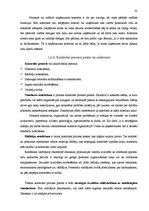 Diplomdarbs 'Mazo un vidējo uzņēmumu attīstības veicināšana Latvijā', 32.