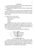 Diplomdarbs 'Mazo un vidējo uzņēmumu attīstības veicināšana Latvijā', 37.