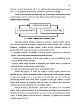 Diplomdarbs 'Mazo un vidējo uzņēmumu attīstības veicināšana Latvijā', 39.