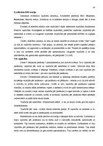 Diplomdarbs 'Mazo un vidējo uzņēmumu attīstības veicināšana Latvijā', 40.