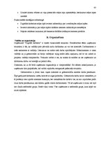 Diplomdarbs 'Mazo un vidējo uzņēmumu attīstības veicināšana Latvijā', 63.