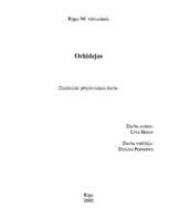 Referāts 'Orhidejas', 1.