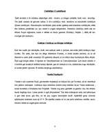 Referāts 'Orhidejas', 8.