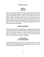 Referāts 'Orhidejas', 10.