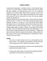 Referāts 'Orhidejas', 25.