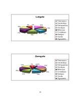 Referāts 'Orhidejas', 42.