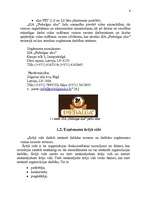 Referāts 'Uzņēmuma vadīšana mainīgas ārējās vides apstākļos', 6.