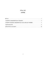 Referāts 'Dzimumu līdztiesība sodu izpildes tiesībās - sieviešu pozitīvā diskriminācija', 2.