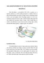 Referāts 'Gela elektroforēze un tās izmantošana proteīnu izdalīšanā', 1.
