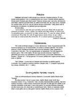 Referāts 'Lizuma pagasta raksturojums', 7.