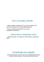 Prezentācija 'Frēžu konstrukcijas', 10.