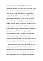 Eseja 'Galvenās problēmas un tēlu raksturojumi Henrika Ibsena lugā "Heda Gablere"', 2.