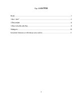 Referāts 'Žestu komunikācija', 2.