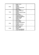 Konspekts 'Ceļojums uz Horvātiju', 6.