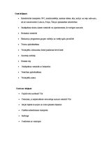 Konspekts 'Ceļojums uz Horvātiju', 8.