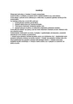 Referāts 'Lemānas divdesmit četru stundu autosacīkstes', 2.