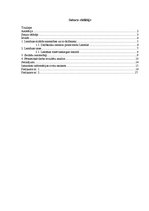 Referāts 'Lemānas divdesmit četru stundu autosacīkstes', 3.