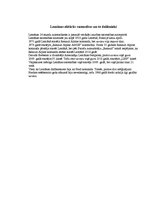 Referāts 'Lemānas divdesmit četru stundu autosacīkstes', 5.