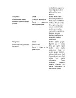 Prakses atskaite 'Kvalifikācijas prakse sākumskolā', 5.