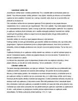 Konspekts 'Vadīšanas stili un to izvēle', 3.