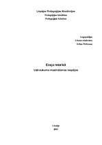 Eseja 'Uztraukuma mazināšanas iespējas', 1.