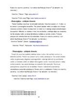 Referāts 'Viesnīcas produkta raksturojums', 16.