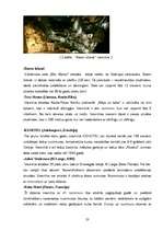 Referāts 'Viesnīcas produkta raksturojums', 23.