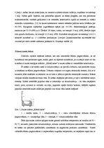 Referāts 'Alternatīvā enerģija - saule', 7.