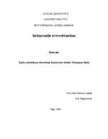 Konspekts 'Sodu noteikšana ASV Teksasas šatā', 1.