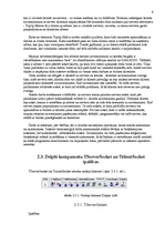 Referāts 'Tīklu datorspēles realizācija', 9.