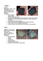 Prezentācija 'Minerāli', 1.