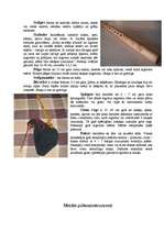 Konspekts 'Mūzikas instrumenti', 3.