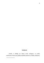 Referāts 'Ceļu satiksmes negadījumu izraisītāju kriminālatbildība', 28.