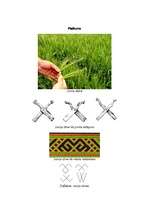 Konspekts 'Jumis', 5.