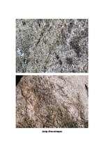 Konspekts 'Jumis', 6.