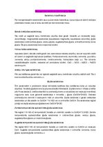 Konspekts 'Neorganisko saistvielu tehnoloģija, ģipsis', 1.