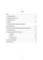 Referāts 'Olaines pilsētas pašvaldība', 2.