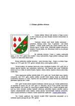 Referāts 'Olaines pilsētas pašvaldība', 4.