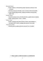 Referāts 'Olaines pilsētas pašvaldība', 11.