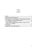 Referāts 'Pievienotās vērtības nodokļa priekšnodokļa krāpšanās gadījumi un to ietekme uz n', 2.