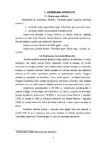 Biznesa plāns 'Biznesa plāns - Peintbola klubs', 4.