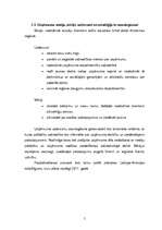 Biznesa plāns 'Biznesa plāns - Peintbola klubs', 5.