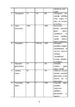 Biznesa plāns 'Biznesa plāns - Peintbola klubs', 18.