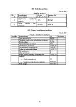 Biznesa plāns 'Biznesa plāns - Peintbola klubs', 30.