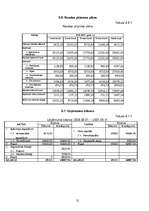 Biznesa plāns 'Biznesa plāns - Peintbola klubs', 31.