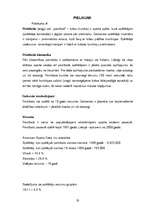 Biznesa plāns 'Biznesa plāns - Peintbola klubs', 33.