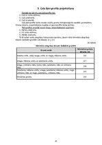 Paraugs 'Kursa projekts studiju priekšmetā "Ceļi un tilti"', 29.