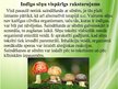 Prezentācija 'Indīgās sēnes', 1.