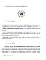 Referāts 'Klubs "Māja" - jaunatne vienotai Eiropai', 9.